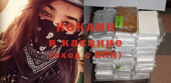 молекула духа Инсар