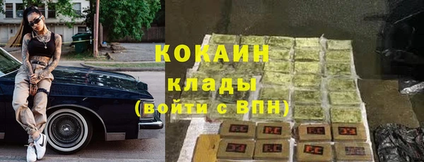 молекула духа Инсар