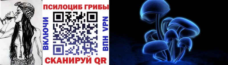 Псилоцибиновые грибы Cubensis  Чёрмоз 